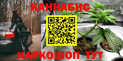 дживик Кимры