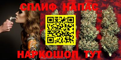 герыч Кингисепп