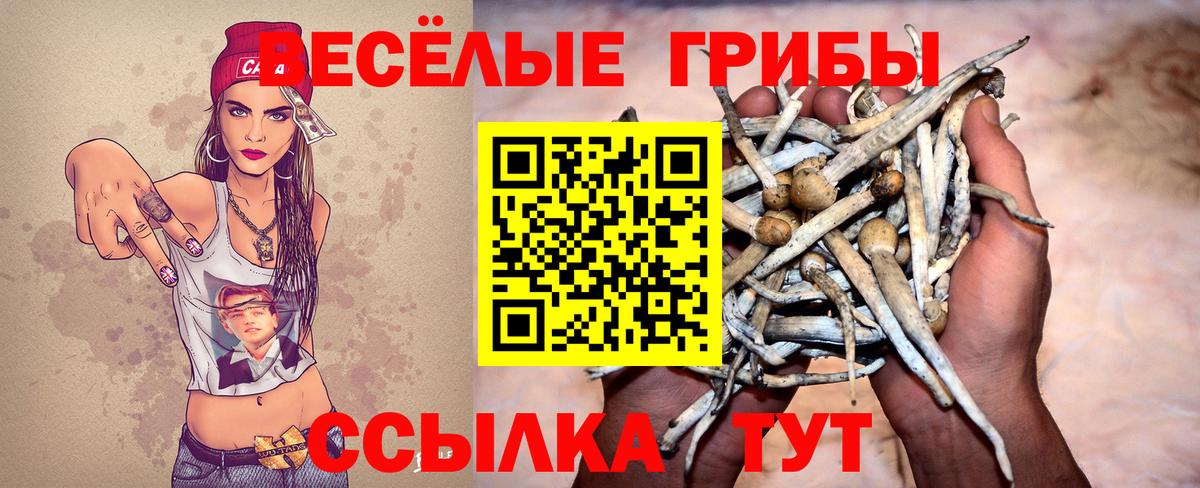 Галлюциногенные грибы Cubensis Чусовой
